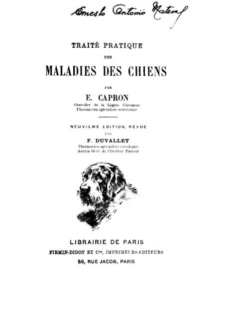 maladies des chiens