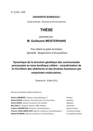 THÈSE - Université Bordeaux 1