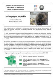 Campagnol amphibie - Centre de ressources Trame verte et bleue