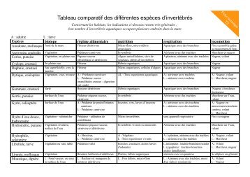 Tableau comparatif des différentes espèces d'invertébrés