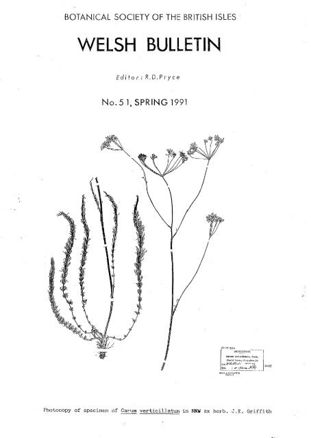 pdf 2.60Mb - BSBI Archive - Botanical Society of the British Isles
