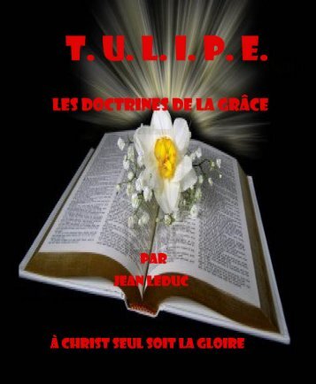 tulipe les doctrines de la grâce - Le Vigilant