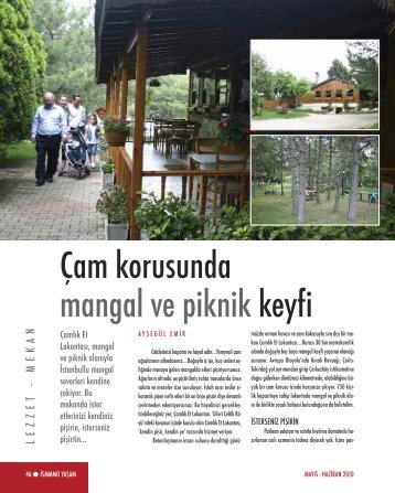 Çam korusunda mangal ve piknik keyfi - İstanbul SMMM Odası