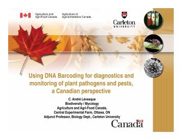 Using DNA Barcoding for diagnostics and monitoring of plant ...