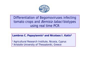 Differentiation of Begomoviruses and Bemisia tabaci biotypes using ...