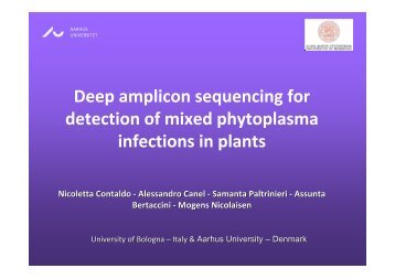 Deep amplicon sequencing for detection of mixed phytoplasma ...