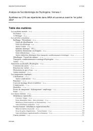 Annexe : liste d'accidents au format pdf (706 ko) - Aria