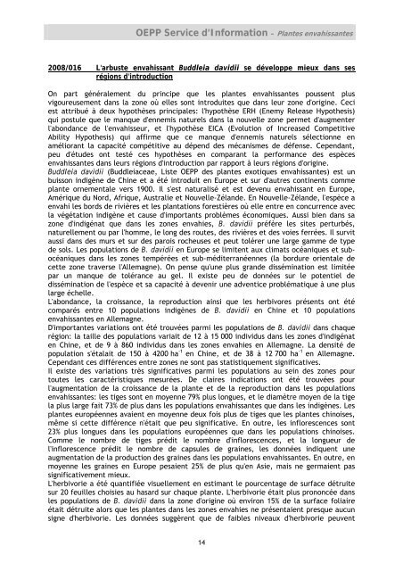 Premier signalement de Tuta absoluta en Espagne - Lists of EPPO ...