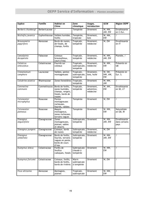 Premier signalement de Tuta absoluta en Espagne - Lists of EPPO ...