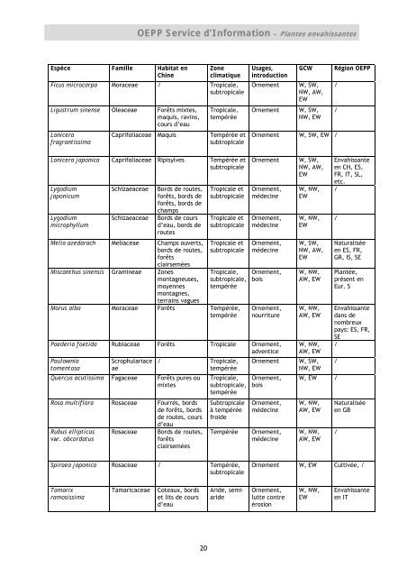 Premier signalement de Tuta absoluta en Espagne - Lists of EPPO ...