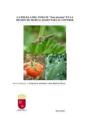 Tuta absoluta - European and Mediterranean Plant Protection ...