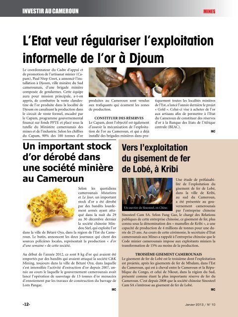 Investir au Cameroun 10