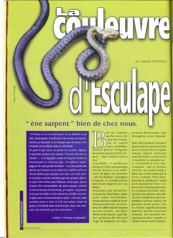 La couleuvre d'Esculape (Michel Hortigue) - Vents du Morvan