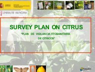 Citrus orchard surveillance program - Lists of EPPO Standards