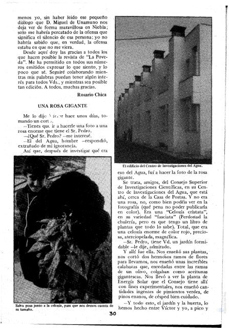 Revista "La Poveda" (1982) - Archivo de la Ciudad de Arganda del ...