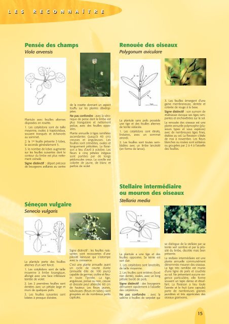 Guide pratique - Désherbage des céréales à paille - Chambre d ...