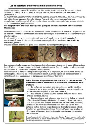 Les adaptations du monde animal au milieu aride - Ressource Ecole