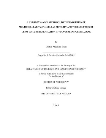 thesis university of arizona thesis university of arizona