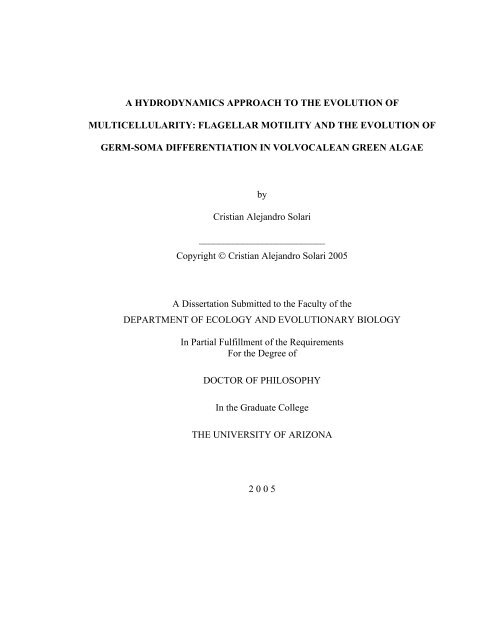 Dissertation Proposal - The University of Arizona Campus Repository