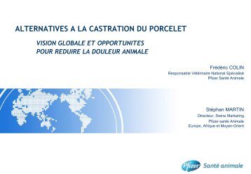 L'immunocastration chez le porcelet - Académie Vétérinaire de France