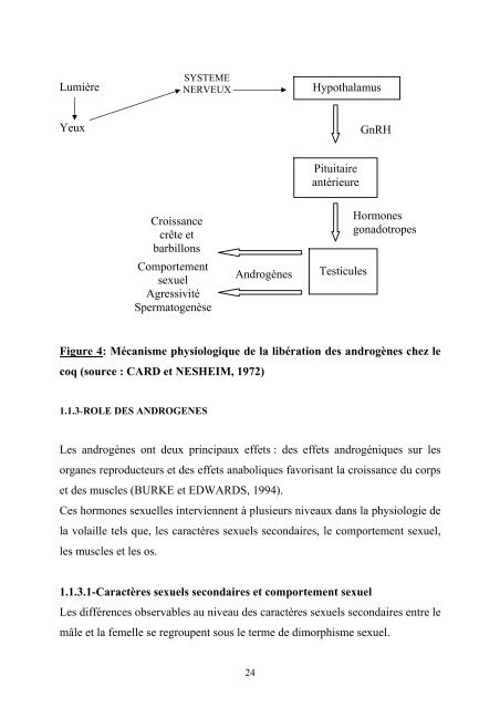 Effet du chaponnage sur les performances de croissance et ... - BEEP