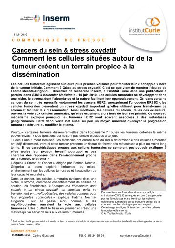 Cancers du sein & stress oxydatif - Institut Curie