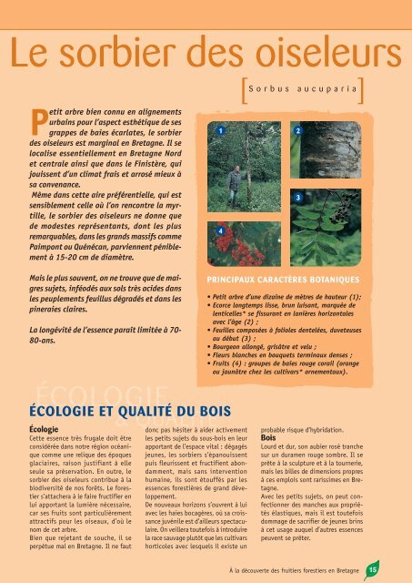 À la découverte des fruitiers forestiers en Bretagne - Centres ...