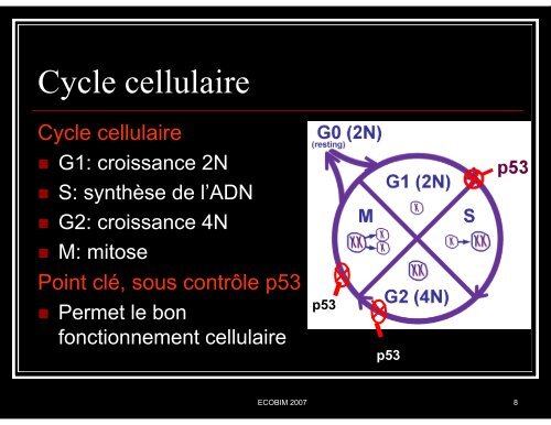 Néoplasie chez la mye - CIRE - Université du Québec à Rimouski