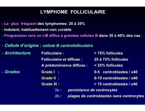 Comprendre La Gen se Et La Progression Du Lymphome Folliculaire PDKUS