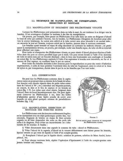 Les phlébotomes de la région éthiopienne (Diptera, Psychodidae)