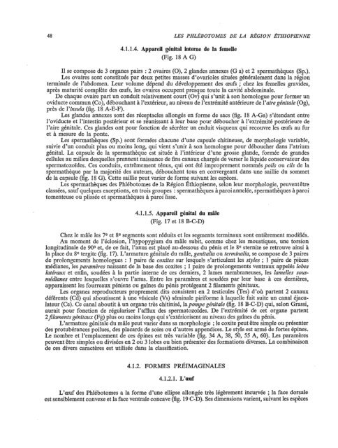 Les phlébotomes de la région éthiopienne (Diptera, Psychodidae)