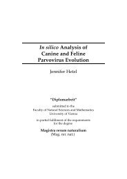 In silico Analysis of Canine and Feline Parvovirus Evolution - TBI