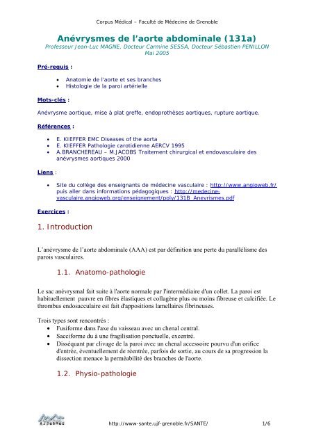 Anévrysmes de l'aorte abdominale (131a)