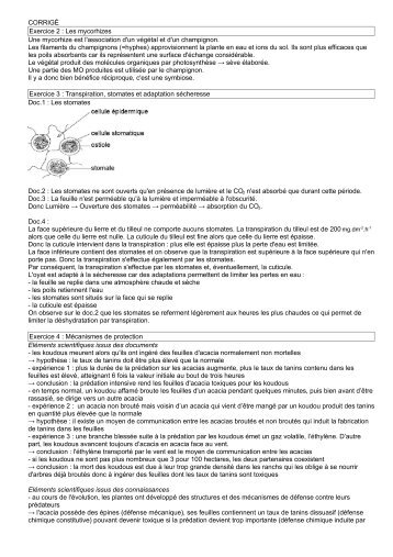 Exercices corrigés - svtCharlie