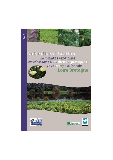 Guide d'identification des plantes exotiques envahissant - Centre de ...