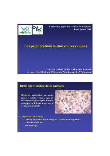 Les proliférations histiocytaires canines - Académie Vétérinaire de ...