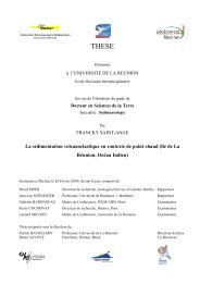 La sédimentation volcanoclastique en contexte de point ... - ASF