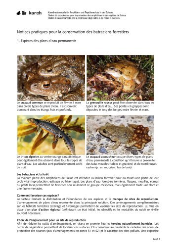 Notices pratiques pour la conservation des batraciens ... - Karch