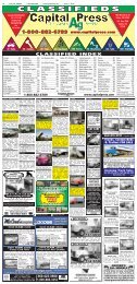 CLASSIFIEDS - MediaSpan