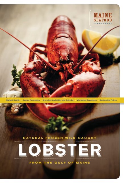 lobster lobster - Maine Seafood Ventures