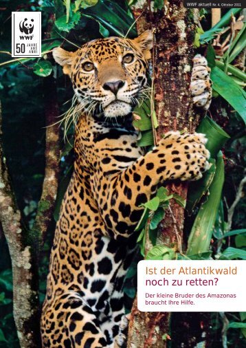 Ist der Atlantikwald noch zu retten? - WWF Schweiz