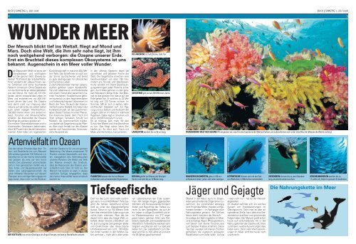 die fisch - WWF Schweiz