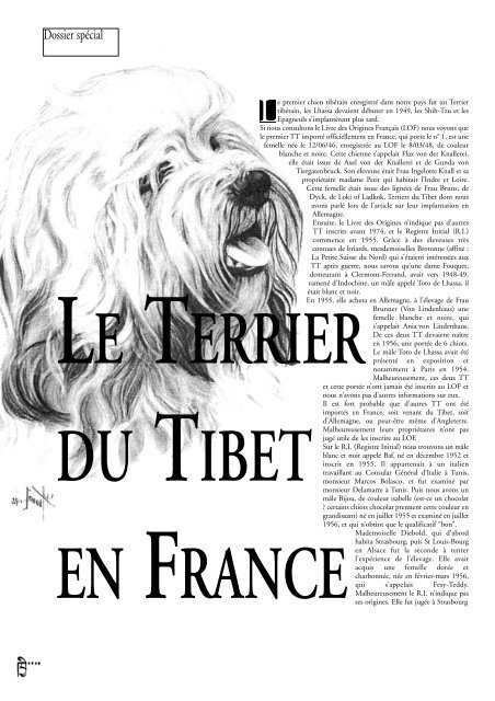 Dossier Spécial Club Des Chiens Tibétains De France