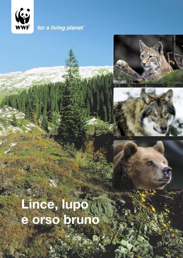 Lince, lupo e orso bruno - WWF Schweiz