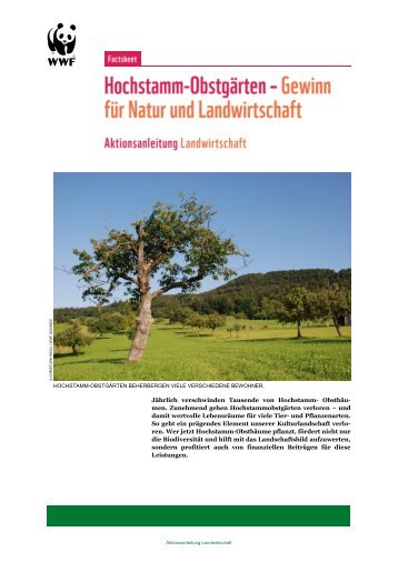 Hochstamm-Obstgärten: Gewinn für Natur und ... - WWF Schweiz