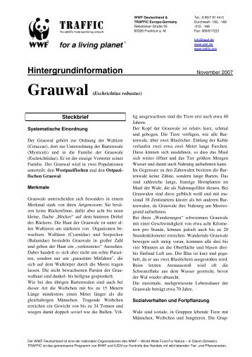 Grauwal