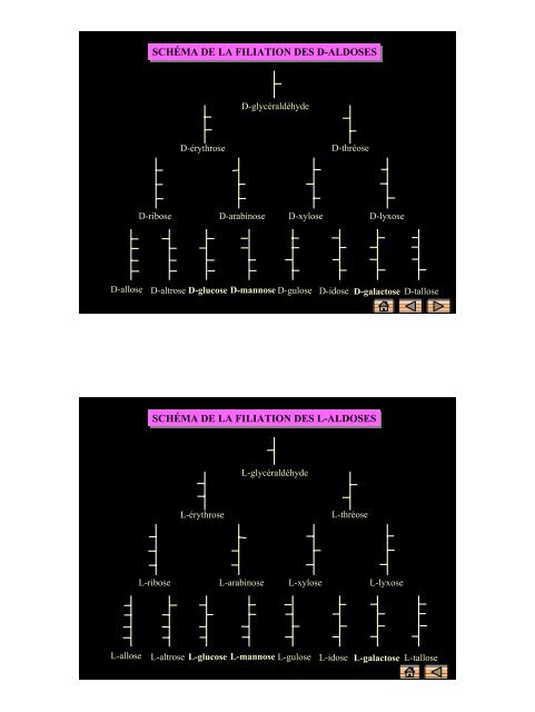 structure des oses simples et dérivés structure des oses simples et ...