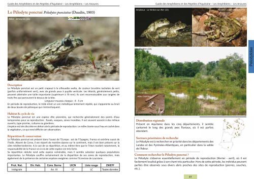 Guide des Amphibiens et Reptiles d'Aquitaine - Conseil Régional d ...