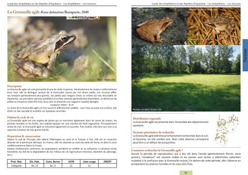 Guide des Amphibiens et Reptiles d'Aquitaine - Conseil Régional d ...