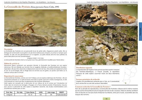 Guide des Amphibiens et Reptiles d'Aquitaine - Conseil Régional d ...